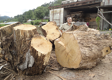 Big Wood Slabs