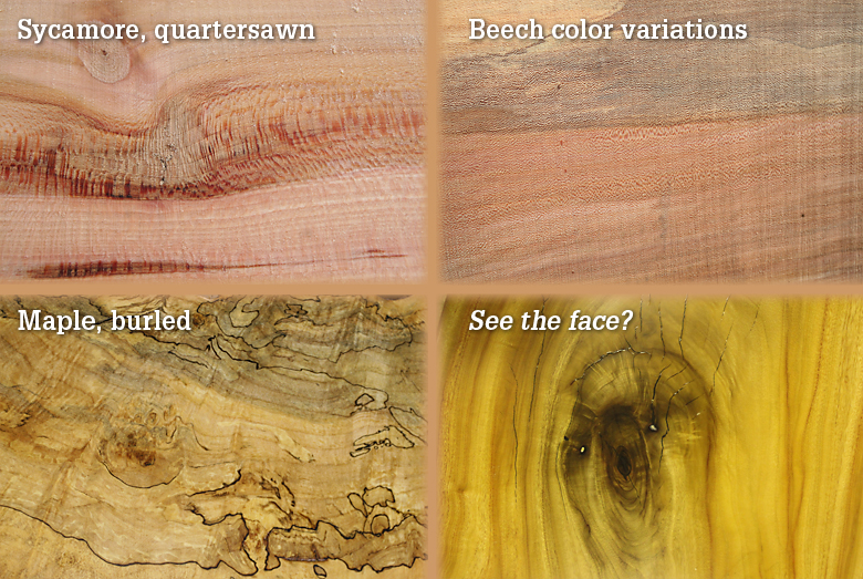 Sycamore and quartersawn Beech color variations, maple, burled